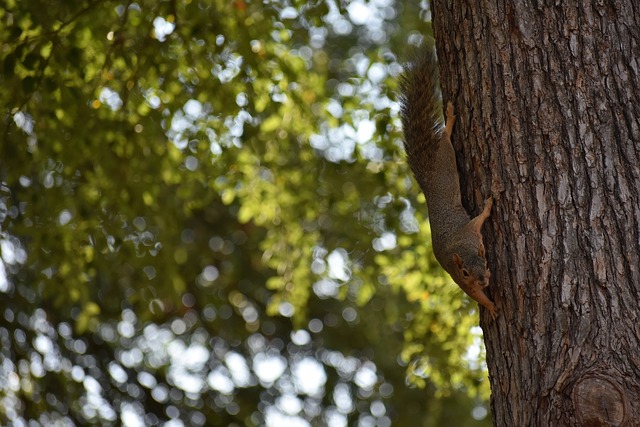 手感热得发烫！拉文半场三分7中6独砍29分5篮板