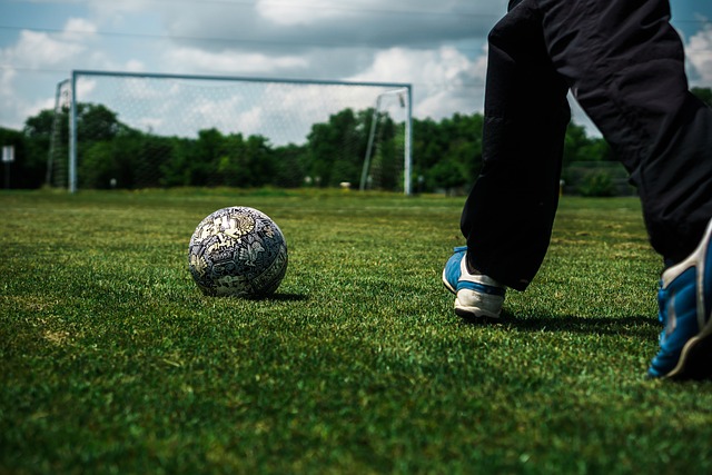 塞尔维亚队强势冲冠