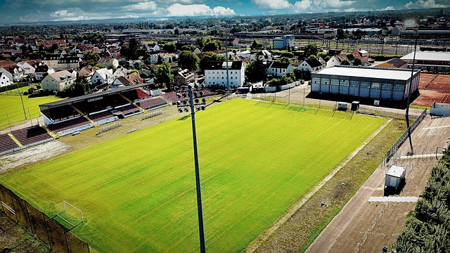 审视自己的 审视自己的